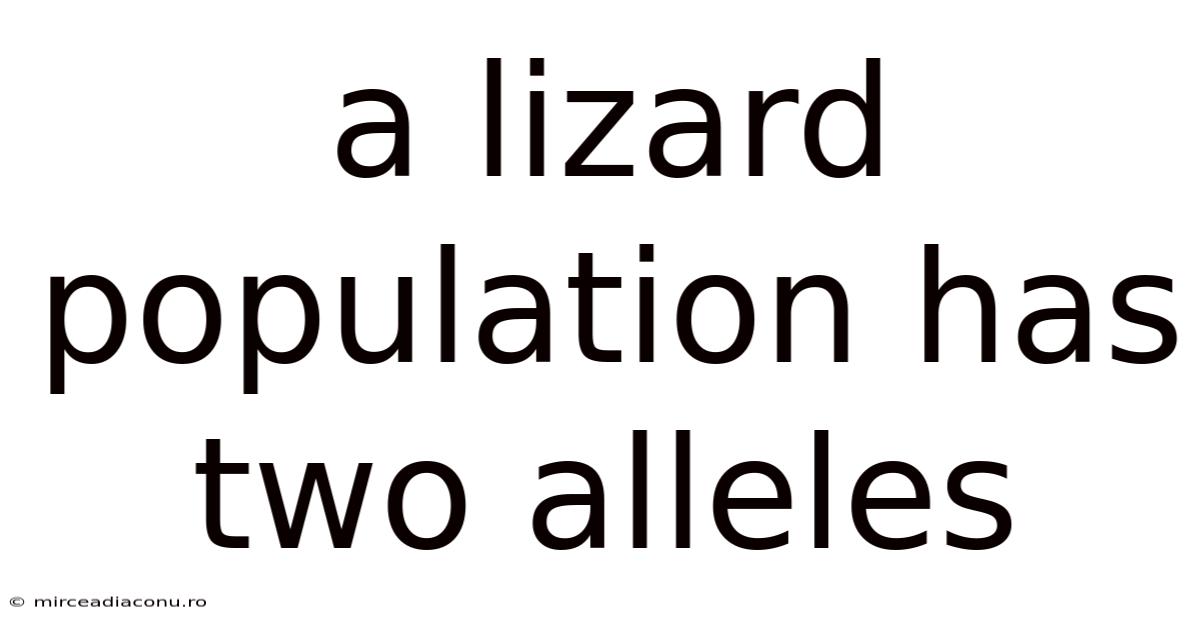A Lizard Population Has Two Alleles