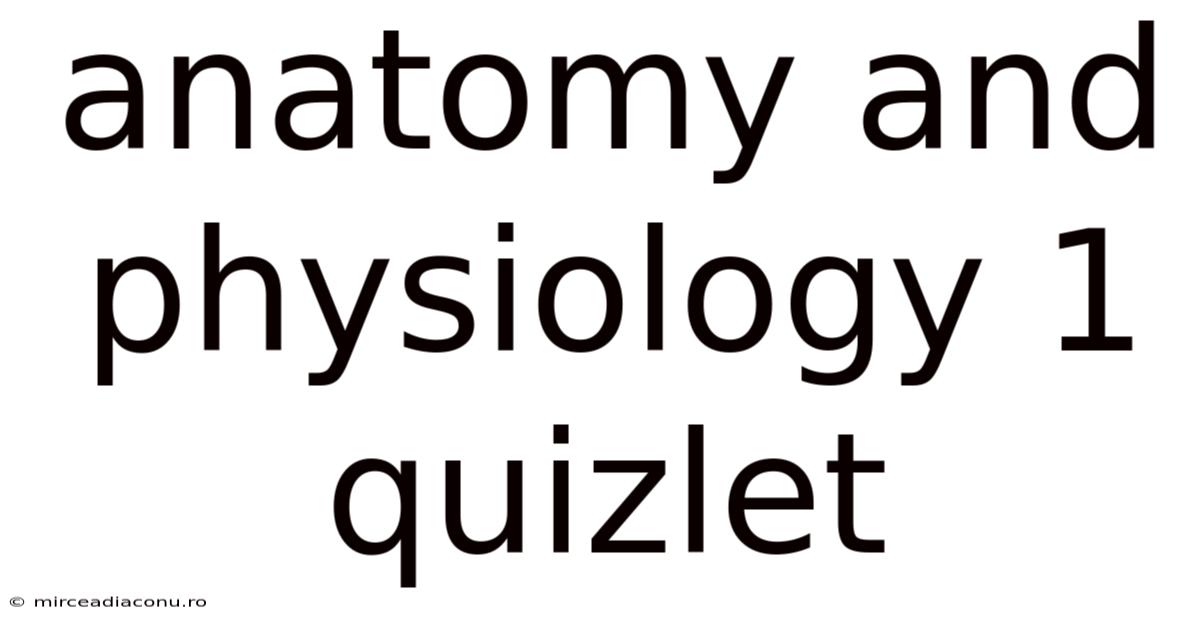 Anatomy And Physiology 1 Quizlet