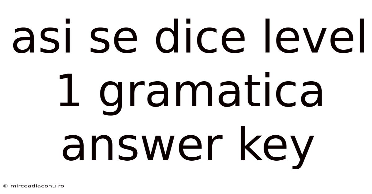 Asi Se Dice Level 1 Gramatica Answer Key