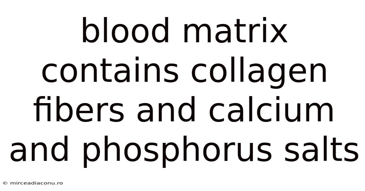 Blood Matrix Contains Collagen Fibers And Calcium And Phosphorus Salts