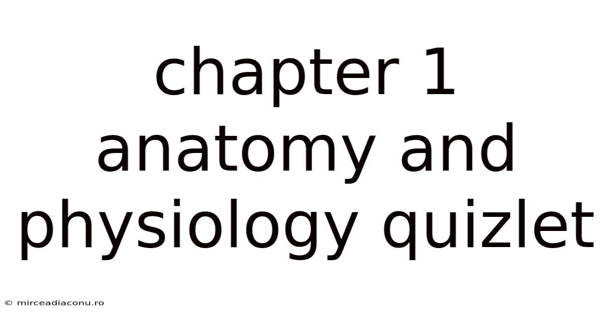 Chapter 1 Anatomy And Physiology Quizlet
