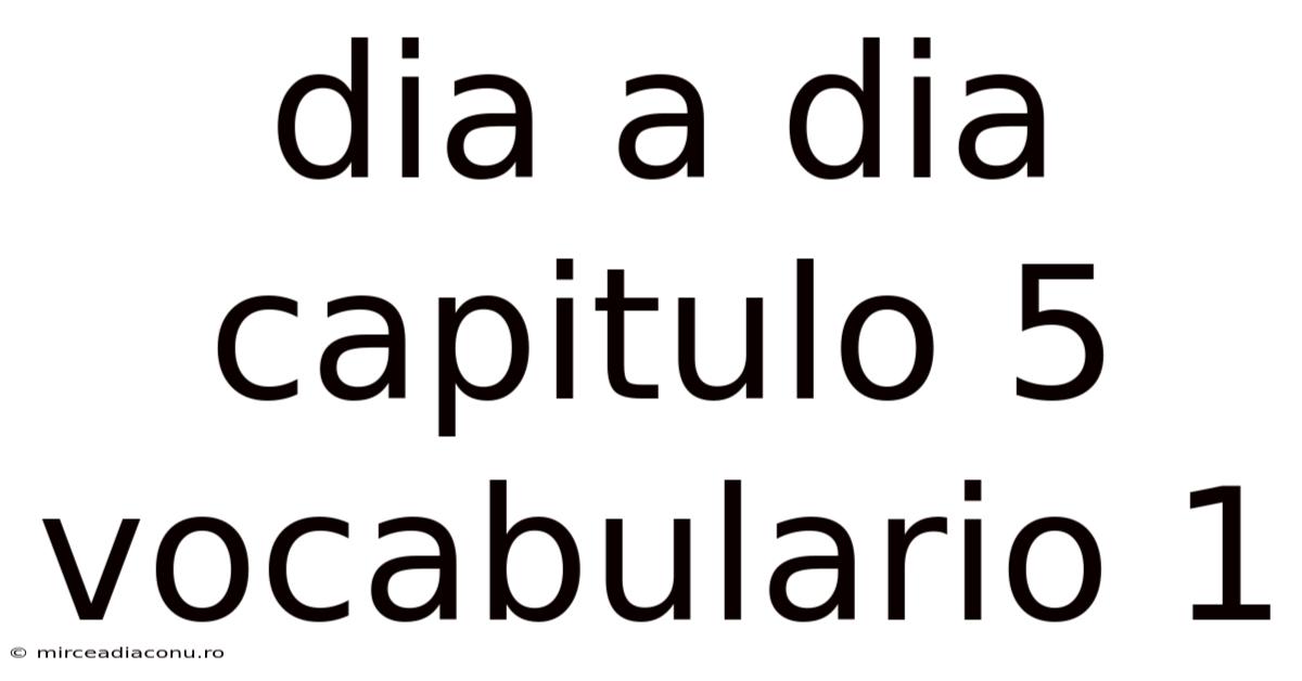 Dia A Dia Capitulo 5 Vocabulario 1