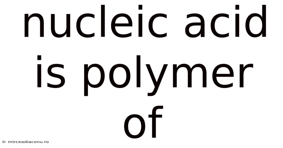 Nucleic Acid Is Polymer Of
