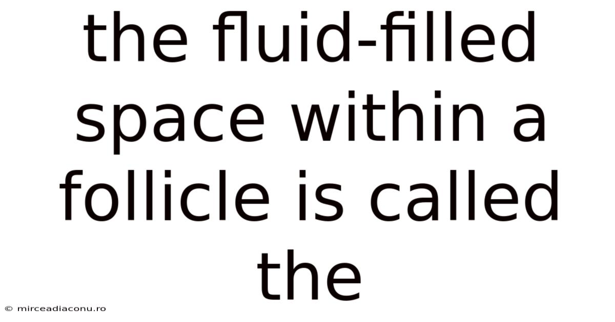 The Fluid-filled Space Within A Follicle Is Called The