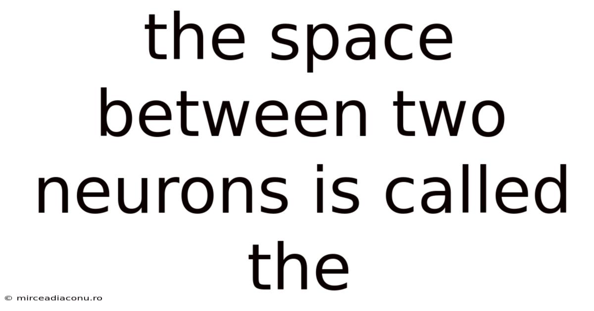 The Space Between Two Neurons Is Called The