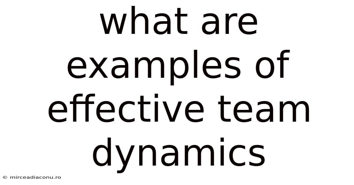 What Are Examples Of Effective Team Dynamics