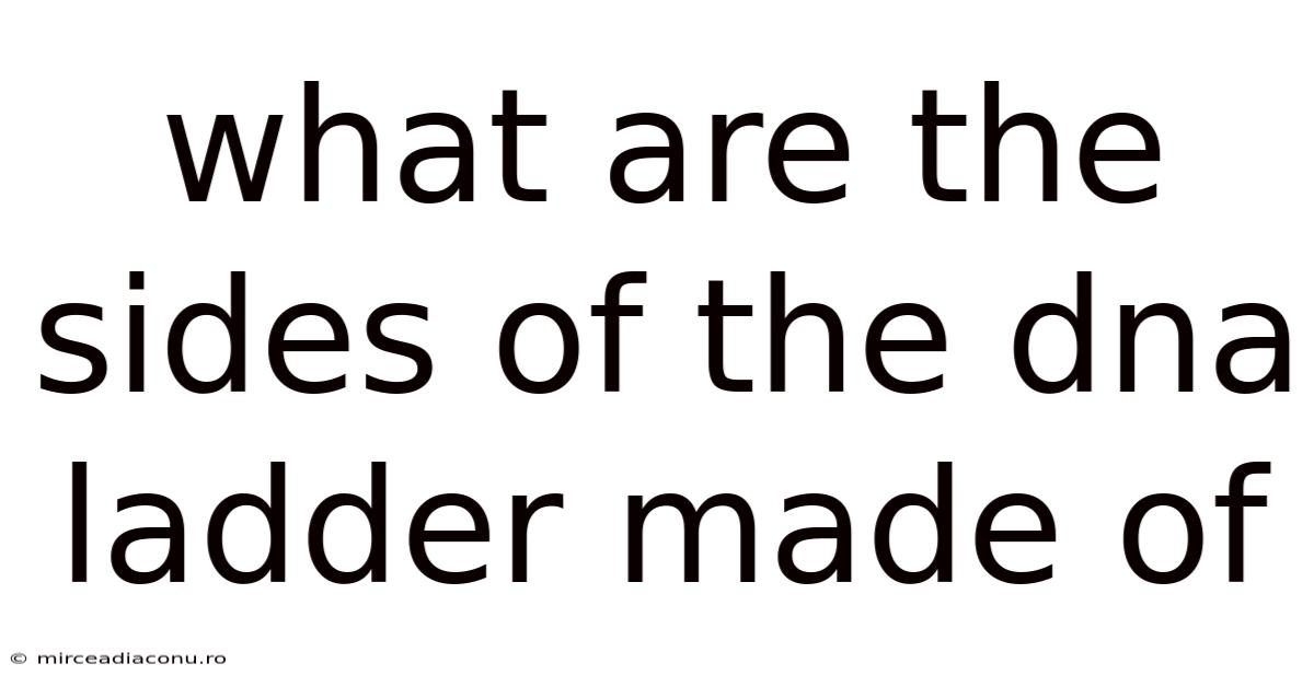 What Are The Sides Of The Dna Ladder Made Of
