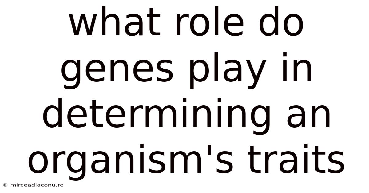 What Role Do Genes Play In Determining An Organism's Traits