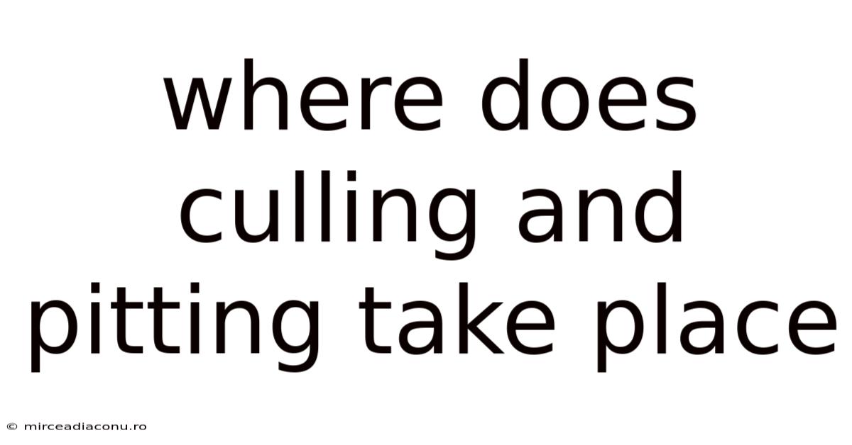 Where Does Culling And Pitting Take Place