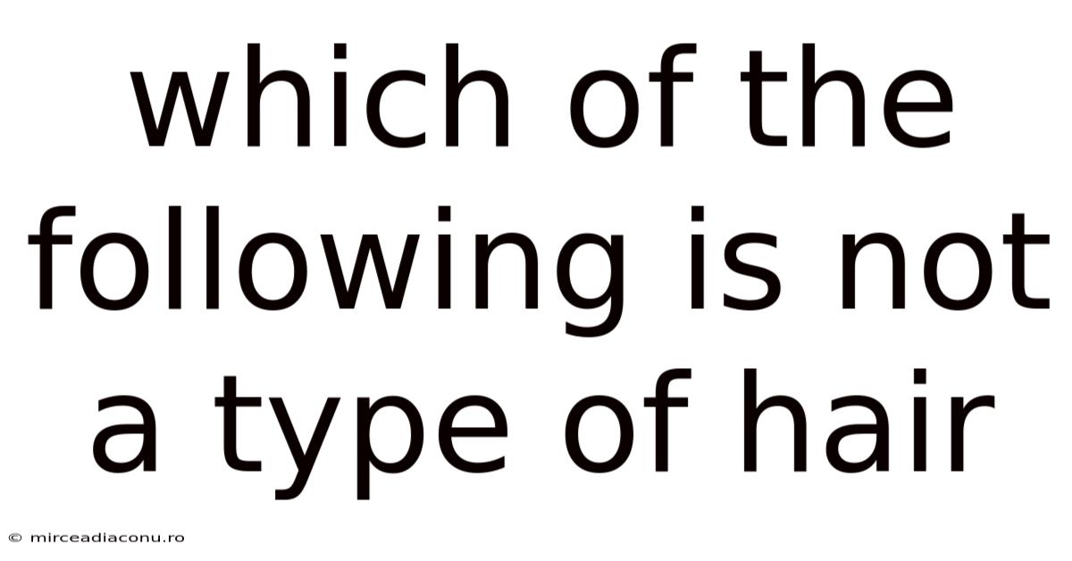 Which Of The Following Is Not A Type Of Hair